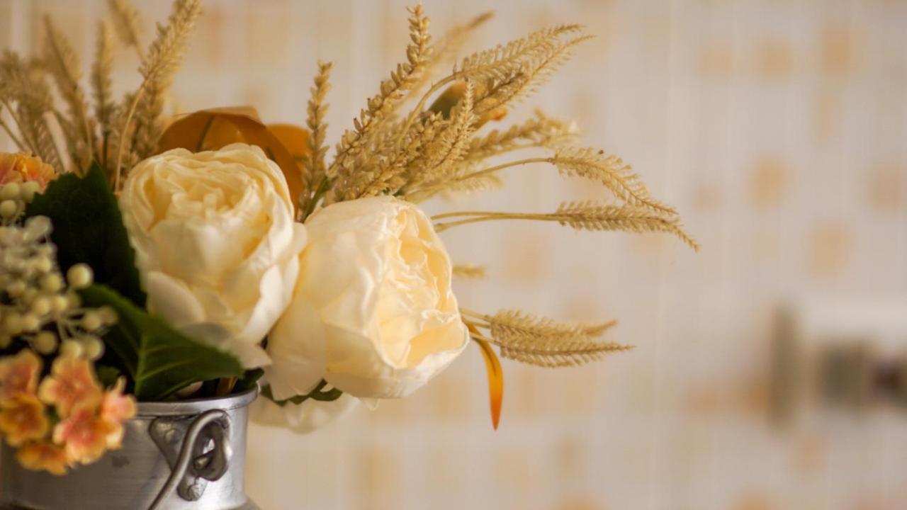 Bed & Breakfast La Pilona Bagnolo San Vito Zewnętrze zdjęcie